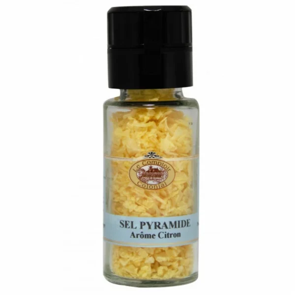 Vente flash 🥰 Sel Pyramide Arôme Citron 60 g Le Comptoir Colonial ❤️ 1